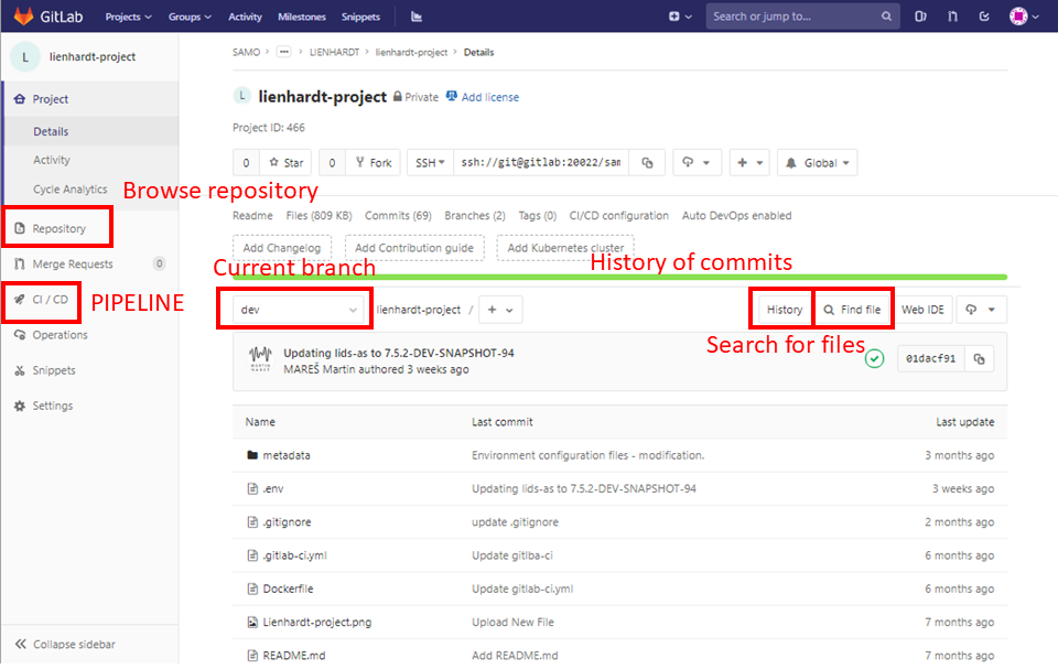 Gitlab